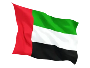 dubai flag