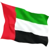 dubai flag